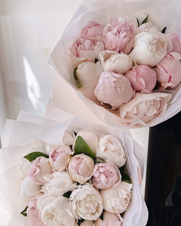 Peonies with delivery in Prague, order online for the same day delivery