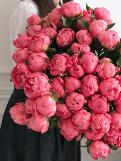 Coral Peonies in Prague order on line for express delivery