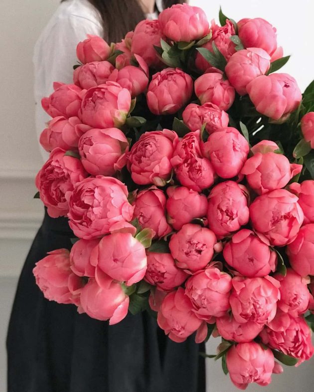 Coral Peonies in Prague order on line for express delivery