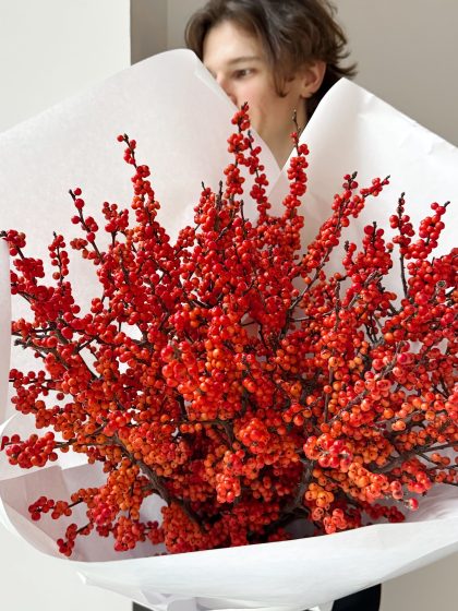 Bunch of Red Ilex