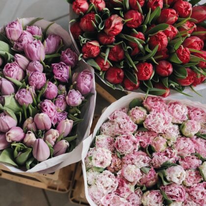 Tulips: 49 pc by Coolflowers flower delivery in Prague