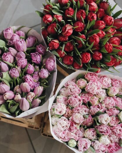 Tulips: 49 pc by Coolflowers flower delivery in Prague