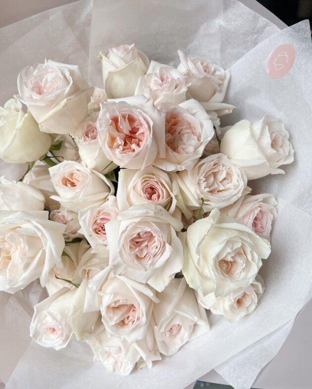 Fragrant roses: Cream - Image 2