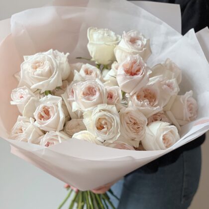 Fragrant roses Cream by Coolflowers flower delivery in Prague