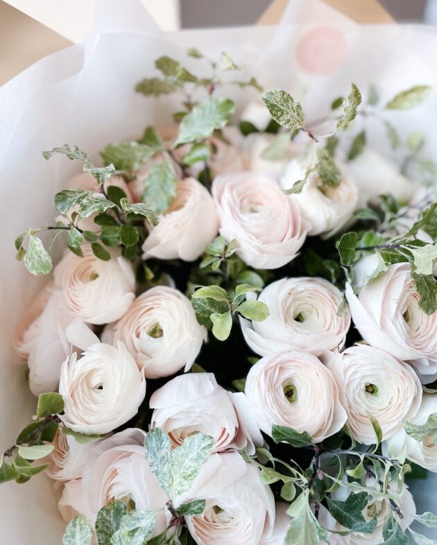 Ranunculus+greens - Image 2