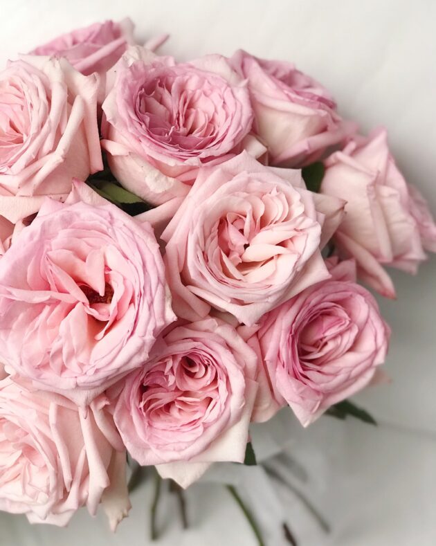 Fragrant roses: Pink - Image 2