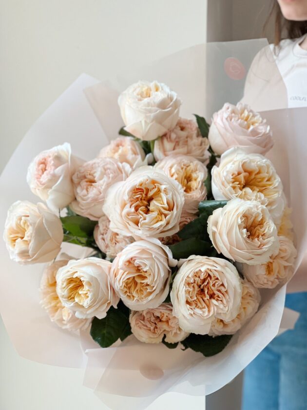 Garden roses: Caramel - Image 3