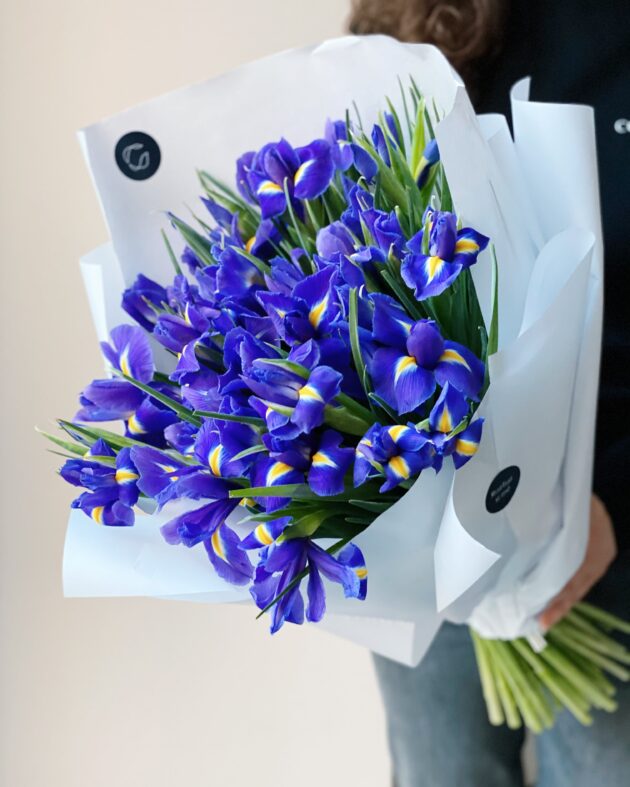 Iris blue - Image 4