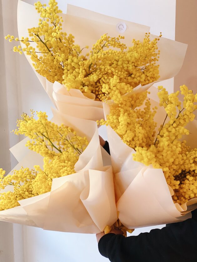 Mimosa by Coolflowers flower delivery in Prague