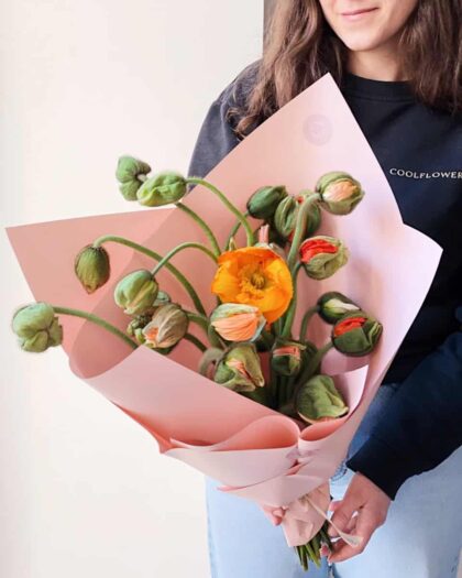 Poppy bouquet by Coolflowers flower delivery in Prague